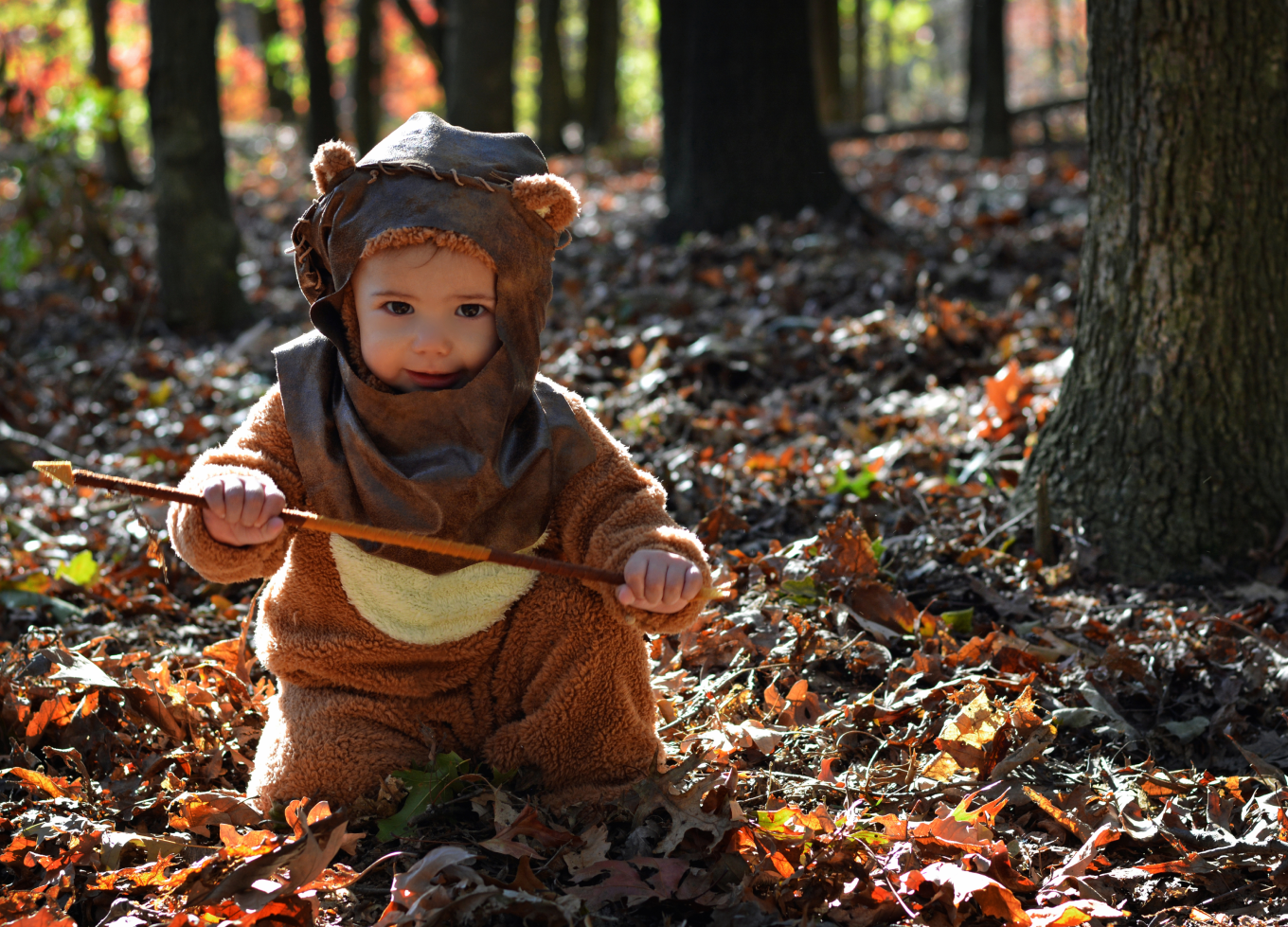 baby in ewok costume